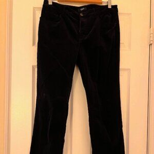 Chaps Women's Fine Gauge Corduroy Navy Blue Pants Size 10